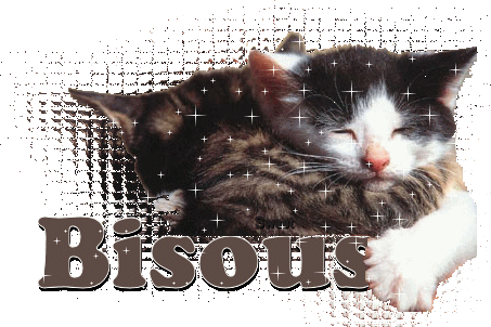 RÃ©sultat de recherche d'images pour "gif anime bisous chat"